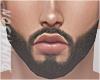 Drake Beard (Add)