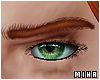 [M] MD Eyebrows V1 Ginge