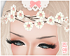 |J| Floral Diadem