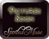 SM Spindle Colista
