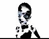 dalmation skin