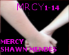 [R]Mercy - Shawn Mendes