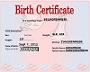babys birth certificate2