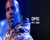 DMX  BACKGOUND