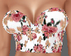 Top Country Rose RL