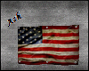 Ash. Vintage US Flag