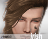 -Hairs- Irish Finn Brown