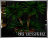 [BG]Potted Palm lll