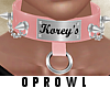 P| Korey's Custom Collar