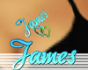 (Sp)James heart Tat {F}