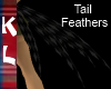 dark tail feathers