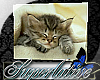 [SL]KittyCat*pic*