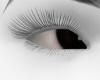 xo custom eyes