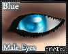 Blue ~ Male Eyes