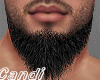 Reaslitic beard