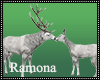 Winter Love Deers