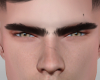 Eyebrows D