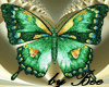 Green Butterfly Animated