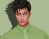 Butterfly Green Shirt