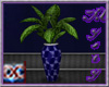 ~MR~ Mysty Purple Plant