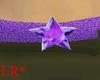 Purple Star Belt 2