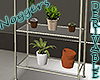 Plants Rack