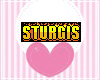 Sturgis Baby