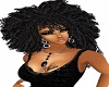 Sparkle's 70 Black Afro