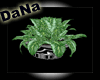 [DaNa]plant 3