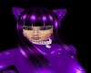 Purple Kitty Abice