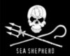 Sea Shephard poster