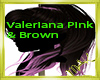 Valeriana Pink & Brown