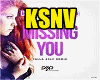 Miss_You_Ben_van_Gosh