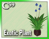 [C59] Exotic Plant Blue