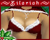 ~ZB Mrs Clause Top