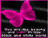 Pink butterfly