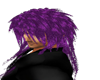 Purple Shag