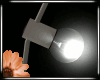 [M] CELIGNG  LAMP