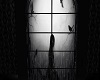 Raven Window /rain