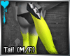 D~WarHorse Tail: Yellow