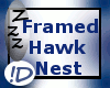 !D Framed Hawk Nest