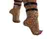 felina tigger socks