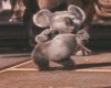Koala Dance