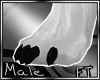 (M)Blk Fur Paws [FT]
