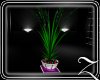 DERIVABLE PLANTER 11