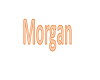 Morgan Name
