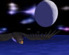 Cosmic Hawk