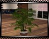 **Malibu Planter 3