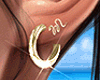 Juno Earrings