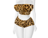 Leopard os